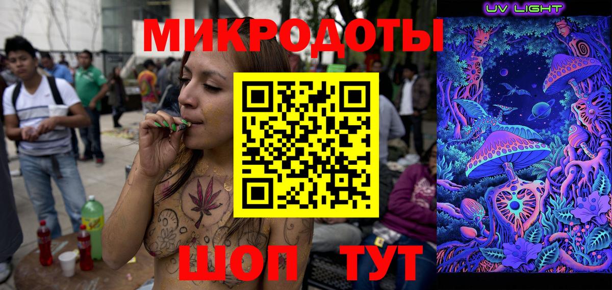 Псилоцибиновые грибы GOLDEN TEACHER  где купить наркотик  Камышлов  Псилоцибиновые грибы MAGIC MUSHROOMS  Вход с VPN 